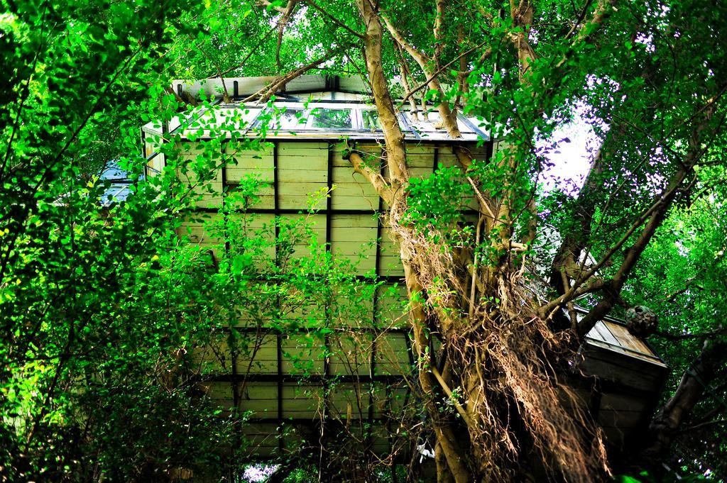 Dao Anh Khanh Tree House Hanoi Ruang foto